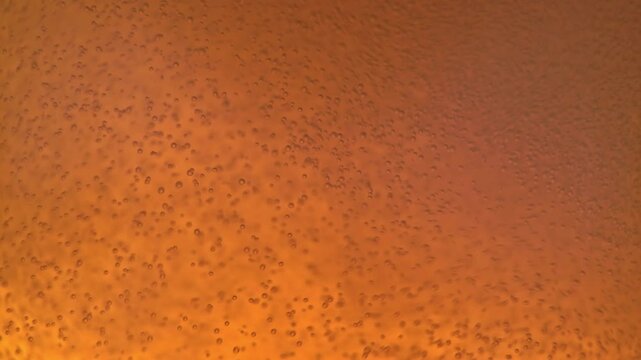 Pouring beer into a glass. Close-up of beer bubbles.
