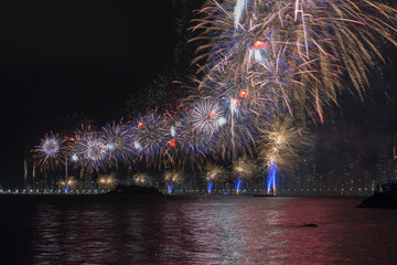 Colorful fireworks in the night sky.