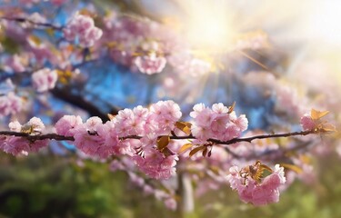 Obraz premium An abstract design with blurred lines and a gradient of blue, teal, and white.