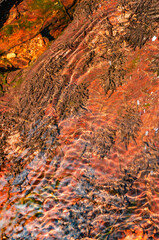 clear water with pebbles and shiny rocks under a river in the sun between rusty brown and green tones, for backgrounds and textures