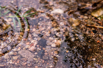 Piedras bajo el agua