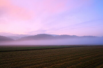 Fototapeta premium 朝焼けと美しい霧の朝