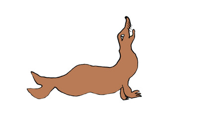 Seal