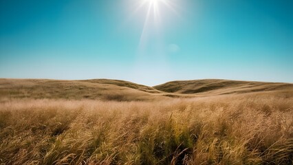 Vast Landscape of Rolling Hills Under Midday Sun