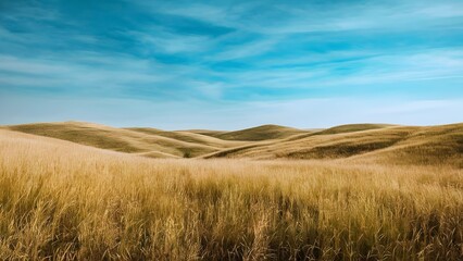 Fototapeta premium Vast Landscape of Rolling Hills Under Midday Sun