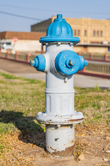 A blue and white painted fire hydrant in a small town.