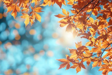 Fallen Leaves Season Background
