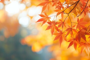 Fallen Leaves Season Background