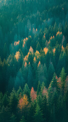 Dense forest landscape with autumn colors, Generative AI