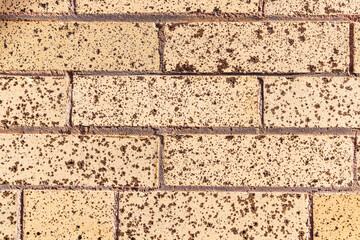 Pattern in an old brick wall.