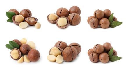 Many macadamia nuts isolated on white, collage
