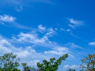 Obraz premium 夏の空