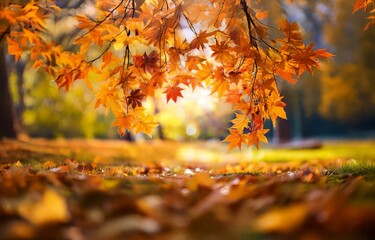 Orange and yellow maple leaves hang from a branch in front of a blurry background of leaves.