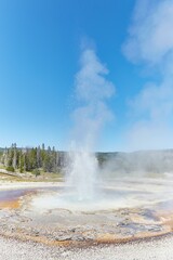 Yellowstone's Upper Geyser Basin, home to Old Faithful and more