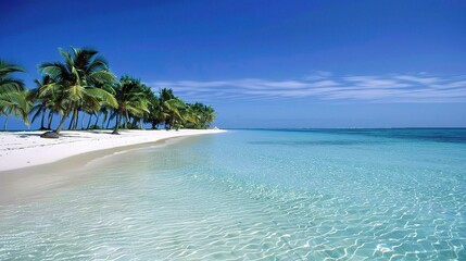 Beautiful Beach Background - a captivating and serene visual. The beautiful beach backdrop creates an enchanting and relaxing scene
