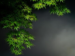 小さな沢のでの霧の景観