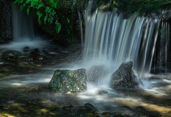 Obraz premium 小さな沢の滝