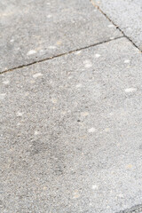 floor tiles in the garden