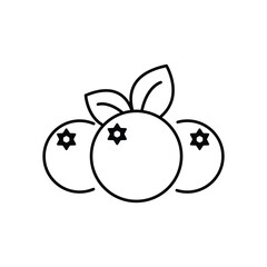 blueberry icon outline vector design illustration