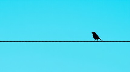 A striking image of a little bird singing on a power line, set against a clear blue sky.