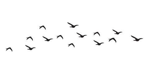 silhouettes of birds flying in the sky