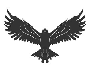 silhouette of eagle flying