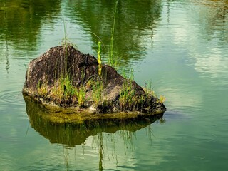 沢の景観