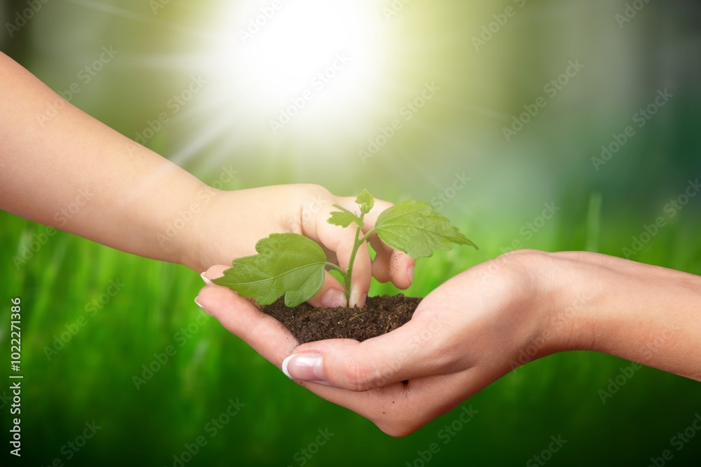 Poster Hands holding plant for growth, sustainability in agriculture.