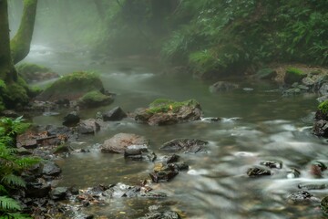 朝霧につつまれた小さな沢の景観