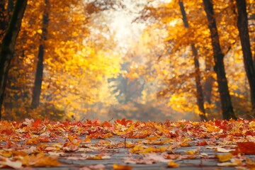 Fallen Leaves Season Background