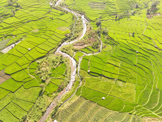 Obraz premium Aerial River and rice fields. Beautiful aquaculture in the valley. River that is used for rice field irrigation. Irrigation Channel. Drones Point of view. Aerial Photography Concepts