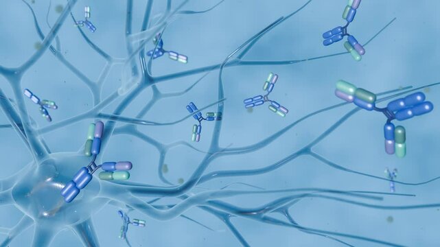 3d animation of antibodies contribute to brain pathology associated with autoimmune diseases such as systemic lupus erythematosus and neuromyelitis optica 