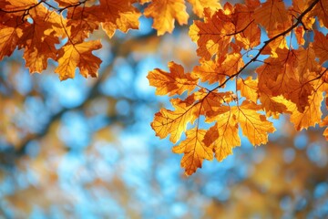 Fallen Leaves Season Background