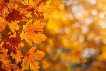 Fototapeta premium Fallen Leaves Season Background