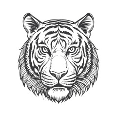 Obraz premium head tiger drawing hand drawn vector illustration