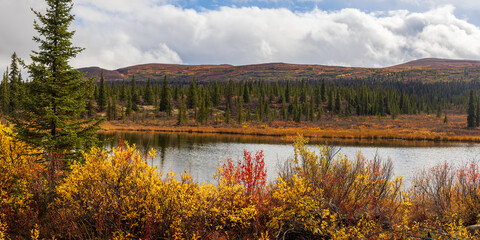 Fototapeta premium Scenic tundra landscape with pond in the middle during autumn time.