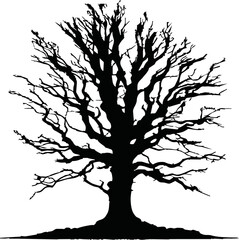 Old dry, bare tree. Black silhouette. Sketch hand drawn. Isolated on white background. Vector illustration