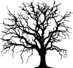 Old dry, bare tree. Black silhouette. Sketch hand drawn. Isolated on white background. Vector illustration