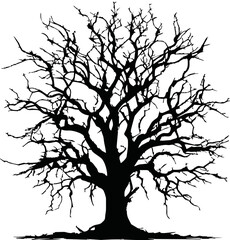Old dry, bare tree. Black silhouette. Sketch hand drawn. Isolated on white background. Vector illustration