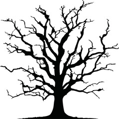 Obraz premium Old dry, bare tree. Black silhouette. Sketch hand drawn. Isolated on white background. Vector illustration