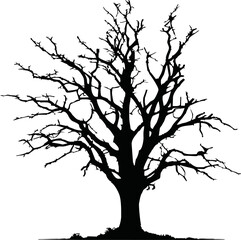 Old dry, bare tree. Black silhouette. Sketch hand drawn. Isolated on white background. Vector illustration