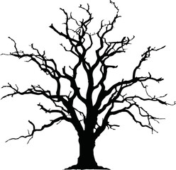 Old dry, bare tree. Black silhouette. Sketch hand drawn. Isolated on white background. Vector illustration
