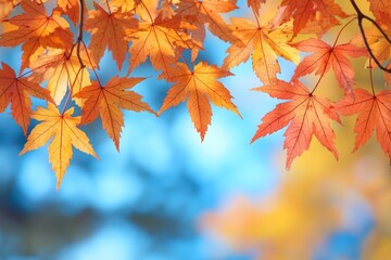 Fallen Leaves Season Background