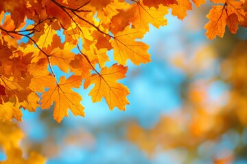 Fallen Leaves Season Background