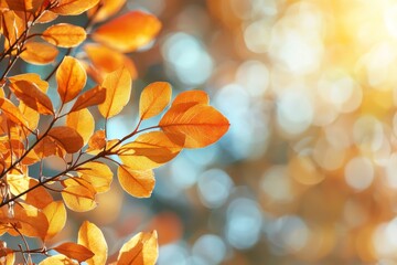 Fallen Leaves Season Background