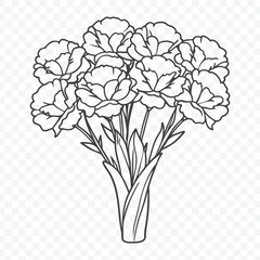 Elegant Floral Bunch with Carnation Line Art Vector in Detailed Botanical Style