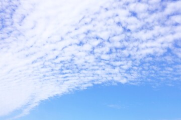 秋の空に広がるうろこ雲