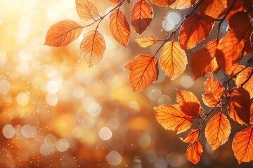 Fallen Leaves Season Background