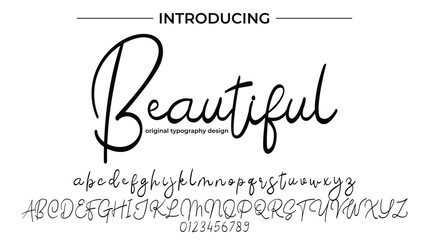 Beautiful Font Stylish brush painted an uppercase vector letters, alphabet, typeface