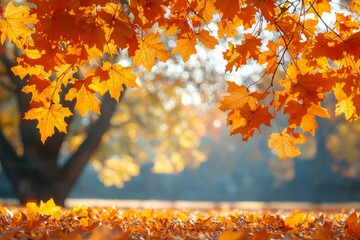 Fallen Leaves Season Background